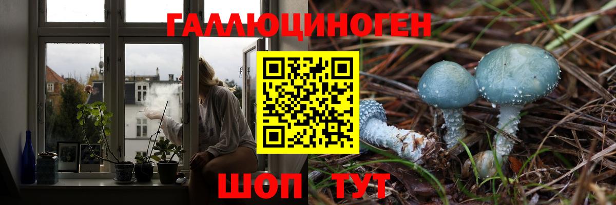 Псилоцибиновые грибы Psilocybine cubensis  Вход с VPN  Наро-Фоминск 