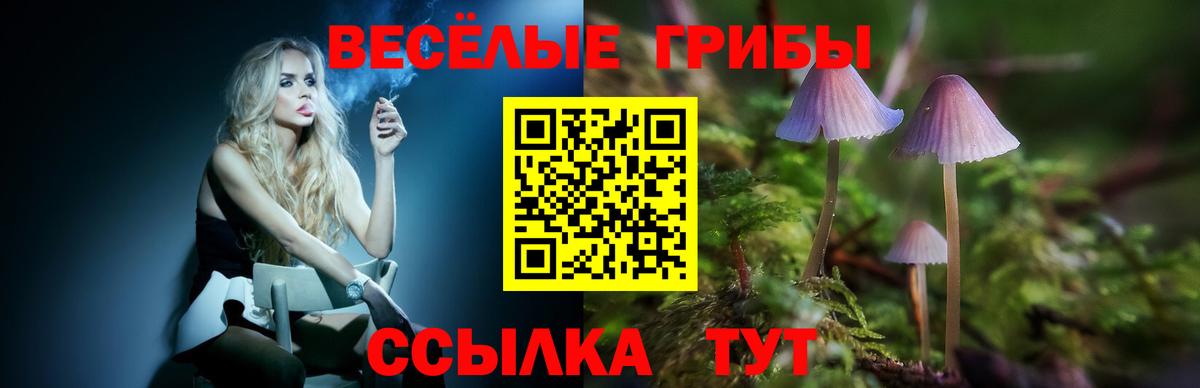 Псилоцибиновые грибы Psilocybine cubensis Наро-Фоминск